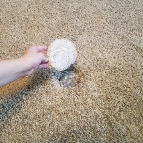 Carpet Hole Repair Adelaide